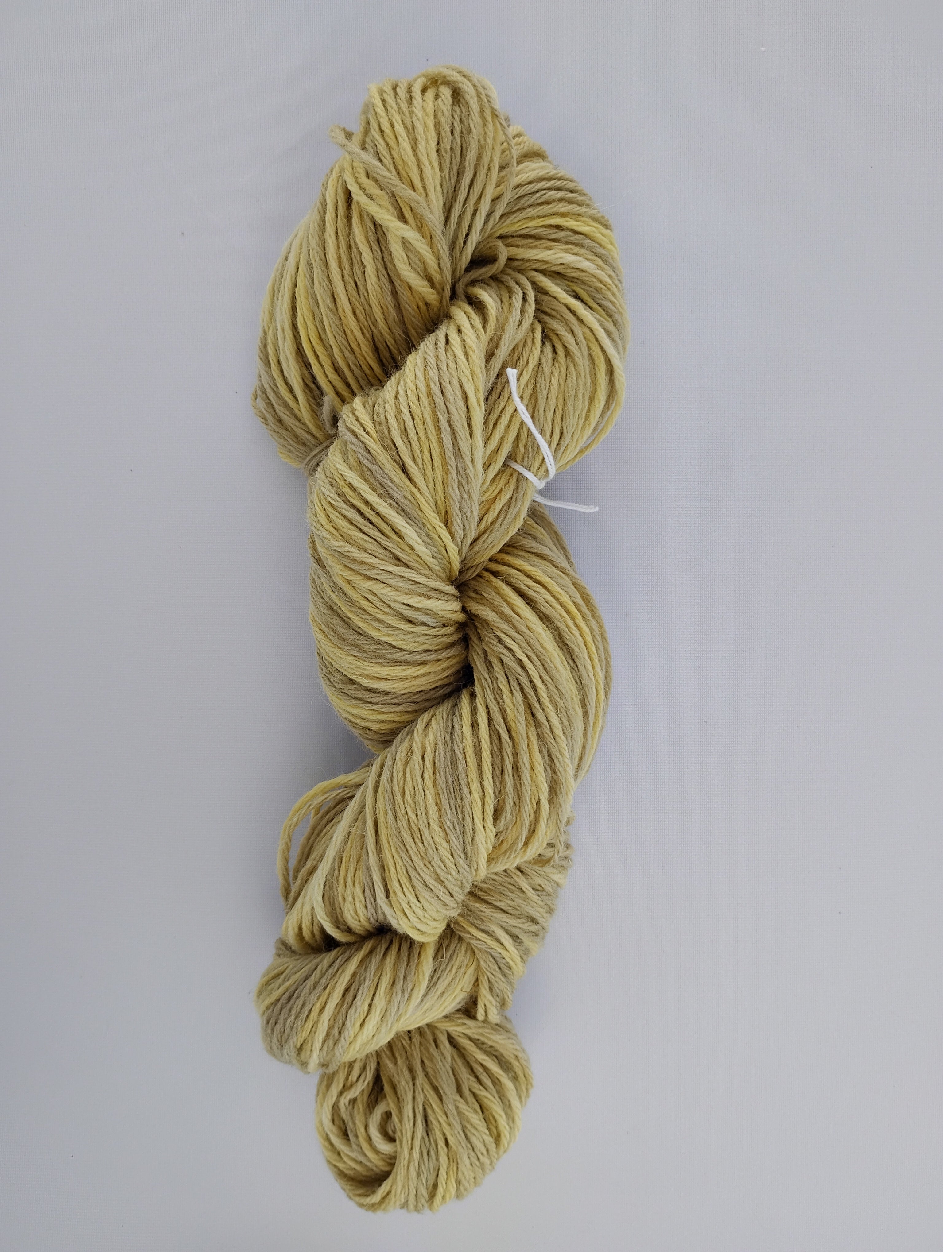 Carrot Top Dyed Yarn
