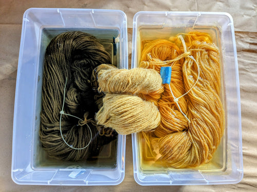 Dyeing Yarn with Nature