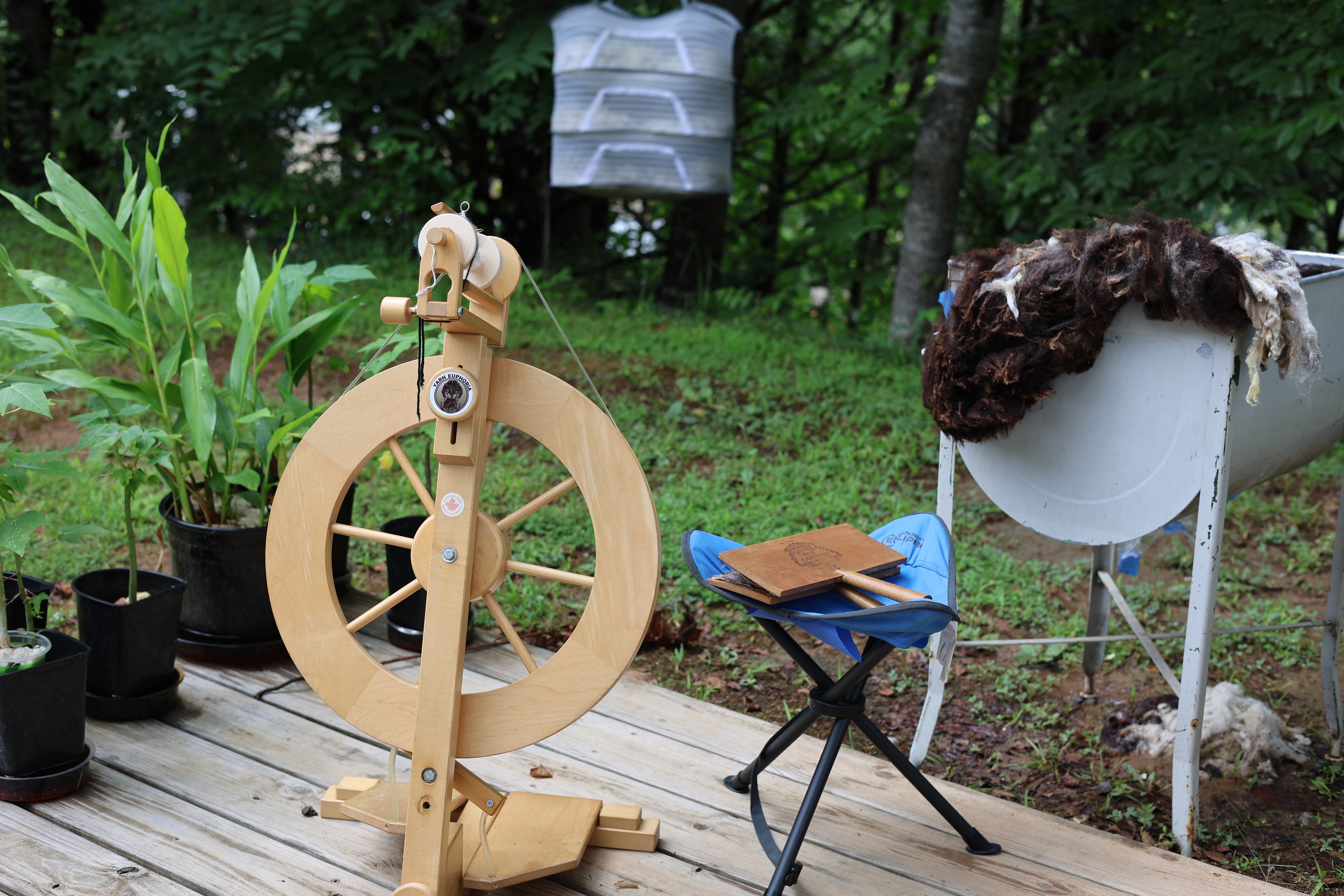 Wool Processing for Beginners