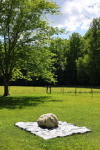 Claude (Ram, East Friesian Sheep Mix Fleece)