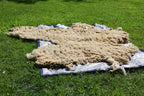 Claude (Ram, East Friesian Sheep Mix Fleece)