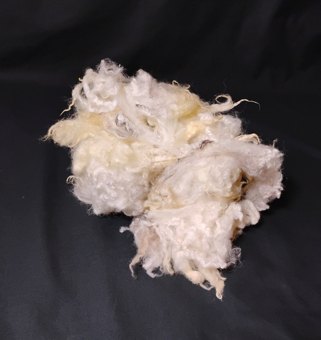 Wool Processing for Beginners