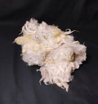Wool Processing for Beginners
