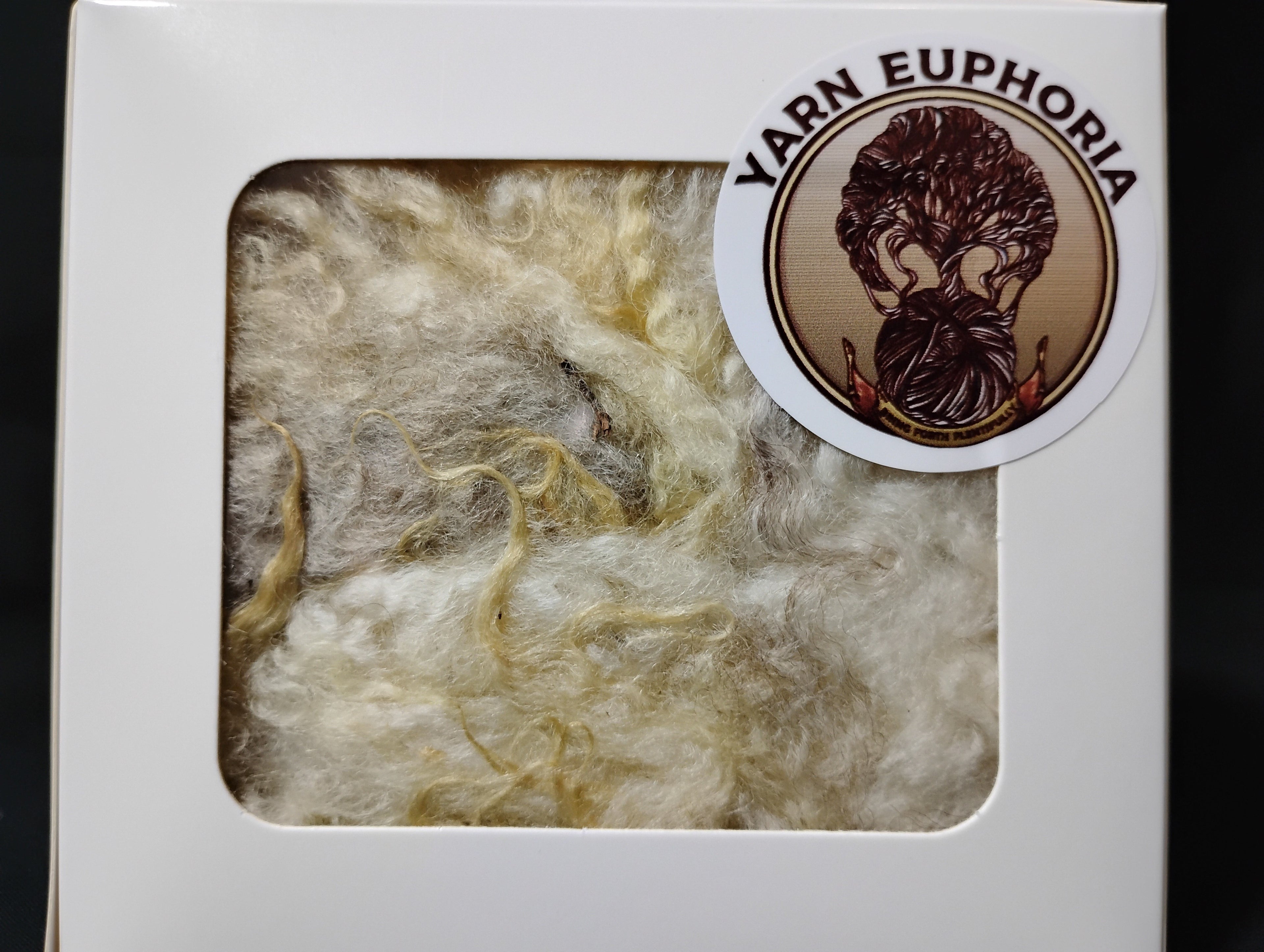Scoured Jacob Sheep Fleece (3.5 oz)
