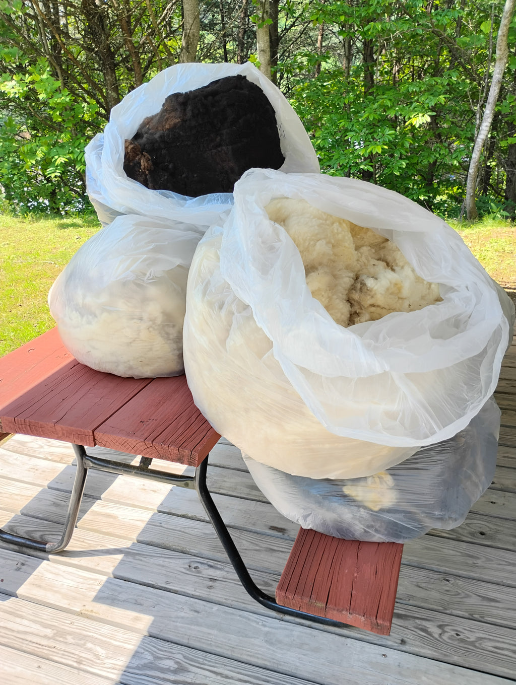 East Friesian-Tunis Mix Yarn